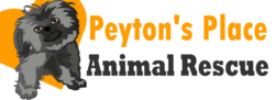 Peyton's Place Animal Rescue
